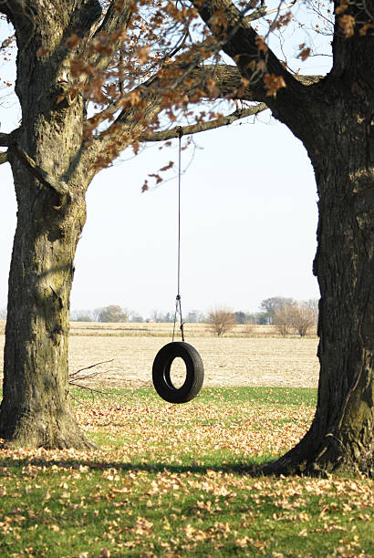 качели из шины между двумя деревьев - tire swing стоковые фото и изображения
