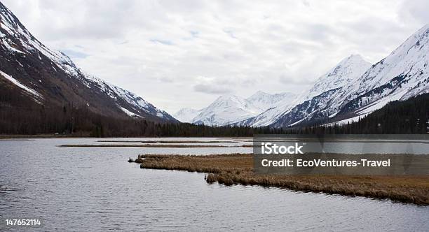 Foto de Alaskcan Paisagem e mais fotos de stock de Alasca - Estado dos EUA - Alasca - Estado dos EUA, As Américas, Azul