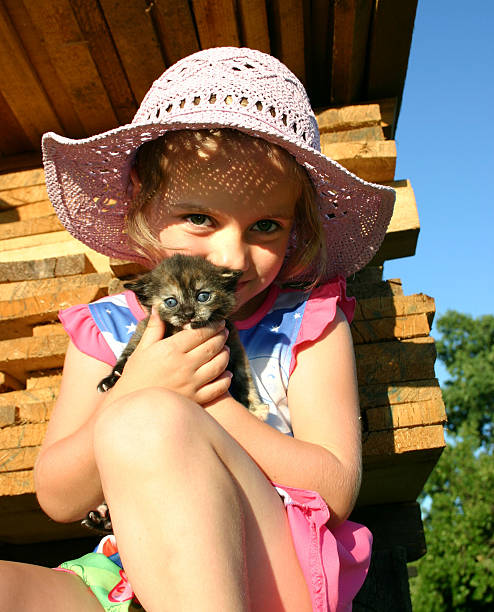 Girl with kitten stock photo