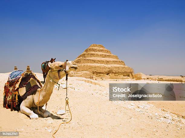 Gran Pirámide Escalonada De Djoser Saqqara Foto de stock y más banco de imágenes de Arqueología - Arqueología, Arquitectura, Asia Occidental