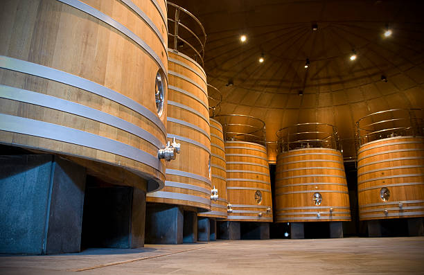 wine cellar with big wooden barrels