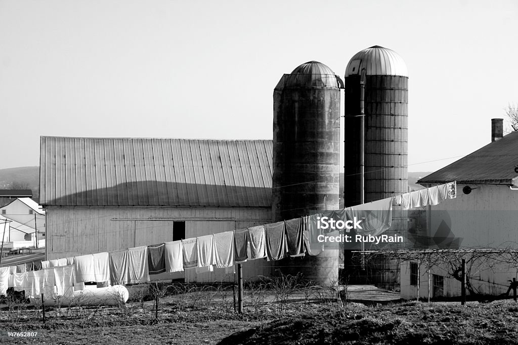 Amish Farm On an Amish farm (in black and white), in Lancaster County, PA, a line of  clothes hang from a line before a  barn and two siloAAs. Amish Stock Photo