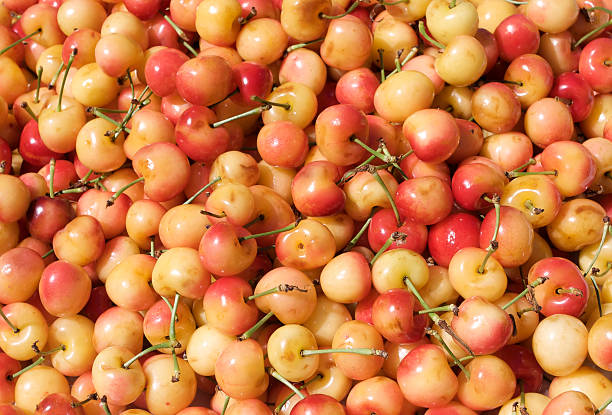 istock Cherries at the market 147652950