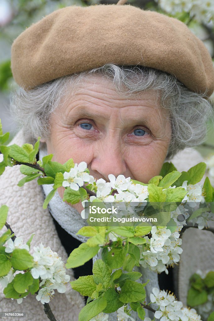 Babcine wącha białe kwiaty - Zbiór zdjęć royalty-free (70-79 lat)