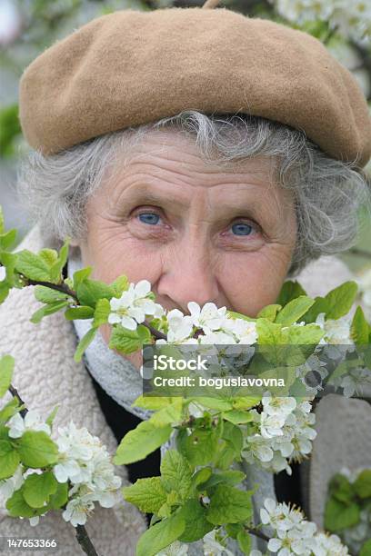 Babcine Wącha Białe Kwiaty - zdjęcia stockowe i więcej obrazów 70-79 lat - 70-79 lat, Aktywni seniorzy, Babka - Dziadek i babcia