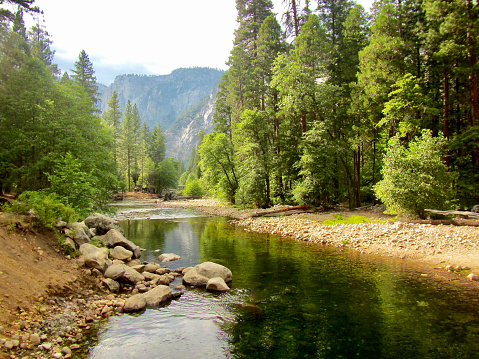 Early morning on the Merced river flowing through Yosemite
