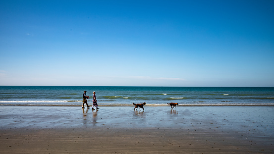 A couple walk two red setter dogs along the shoreline on East Wittering beach, West Sussex, UK.