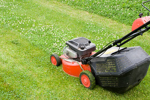 istock Lawnmower in the garden 147653464