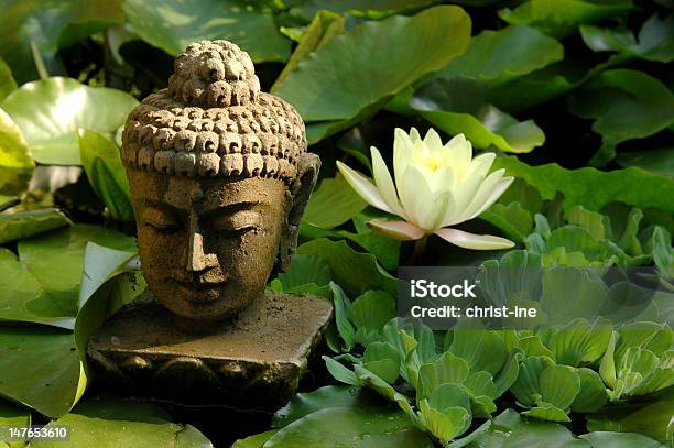 Будда Приятель — стоковые фотографии и другие картинки Без людей - Без людей, Будда, Водное растение