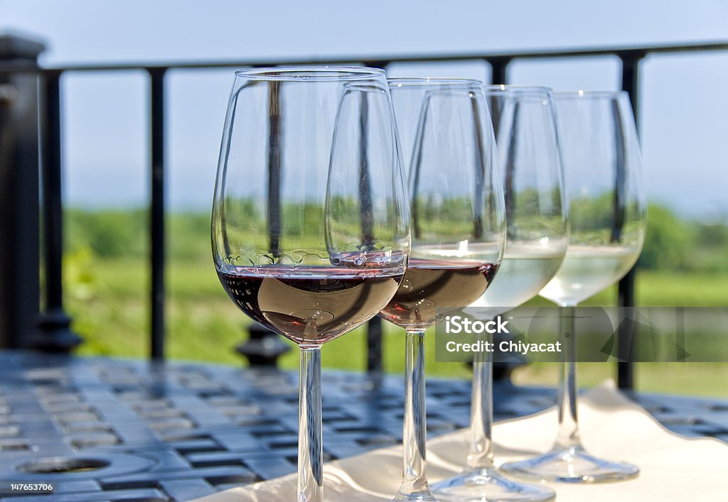 Wine Tasting by a Vineyard Row of wine glasses filled with white and red wines ready to be sampled. Summer Stock Photo