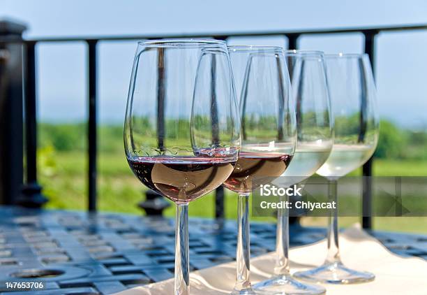 Wine Tasting By A Vineyard Stock Photo - Download Image Now - Summer, Red, Wine Tasting