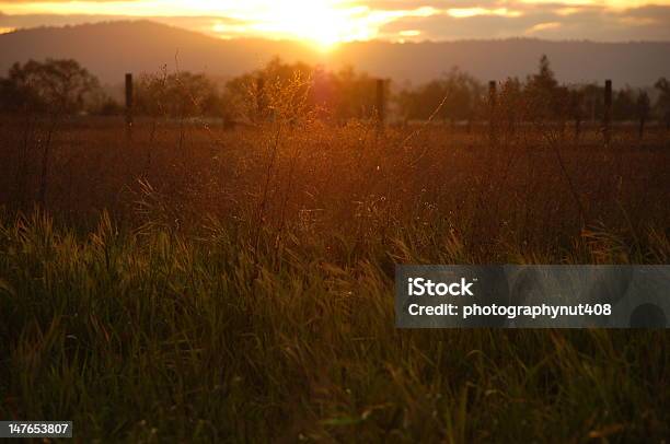 Farmland Abend Stockfoto und mehr Bilder von Agrarbetrieb - Agrarbetrieb, Anhöhe, Blendenfleck