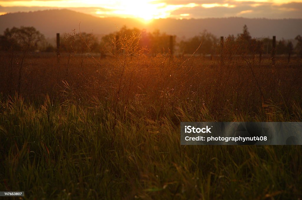 Farmland la noche - Foto de stock de Aire libre libre de derechos