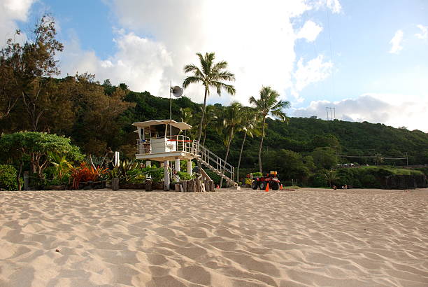 Waimea Lifeguard Shed