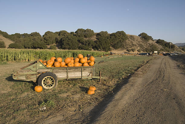 istock Rural California Farm 147654124