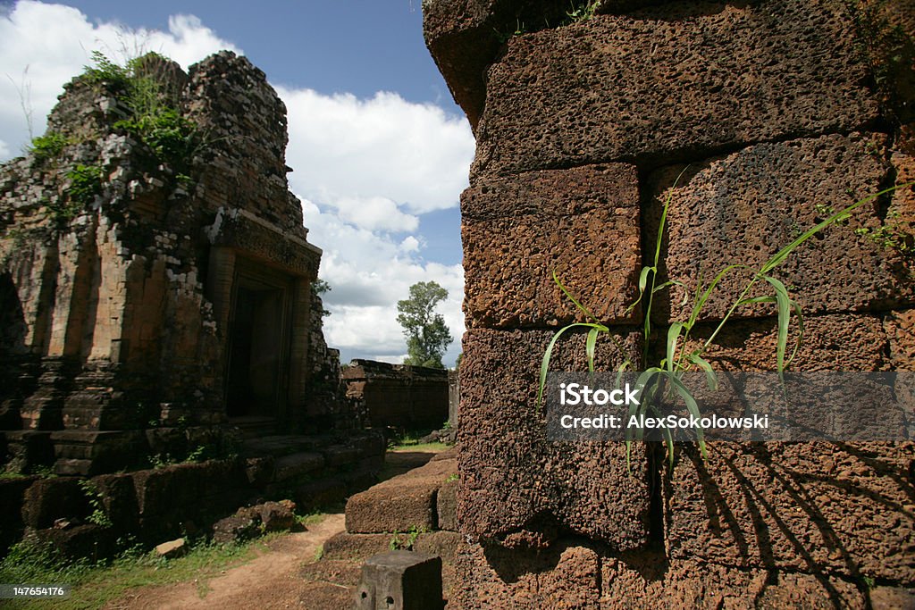 Brick wall of Angkor temple Green plant growing on the ancient wall Ancient Stock Photo