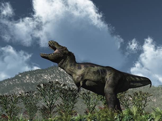 istock Roaring T-Rex on mountainous terrain with cloudy sky 147654558