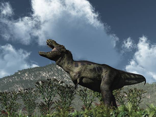 Roaring T-Rex on mountainous terrain with cloudy sky stock photo