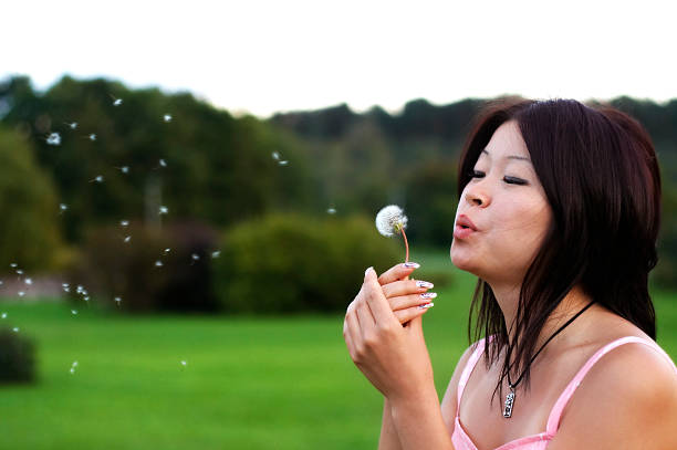 istock Asian girl with dandelion 147655828