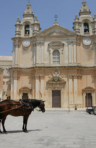 Malta, Mdina, St. Paul Cathedral with Horse stock photo