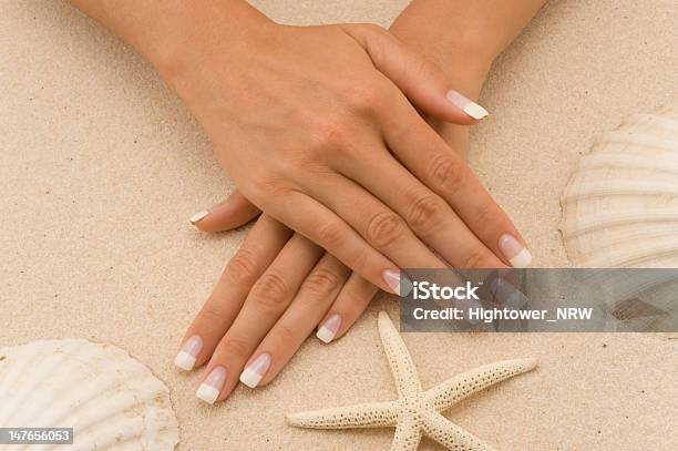 Hands Stock Photo - Download Image Now - Animal Shell, Beauty, Beauty In Nature