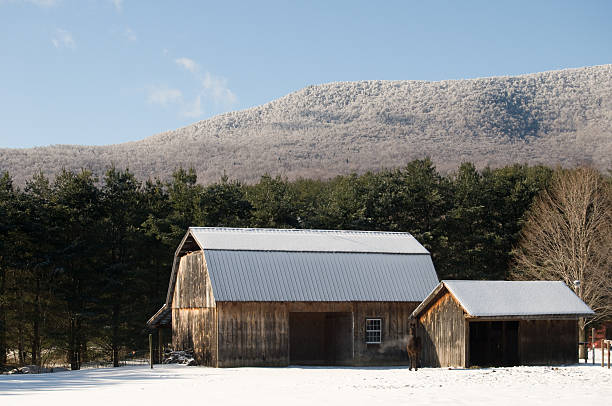 istock Horse barn in Vermont 147656090
