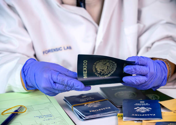 Expert police officer examining mexican passport of a evidence bag in laboratory of criminology, conceptual image stock photo