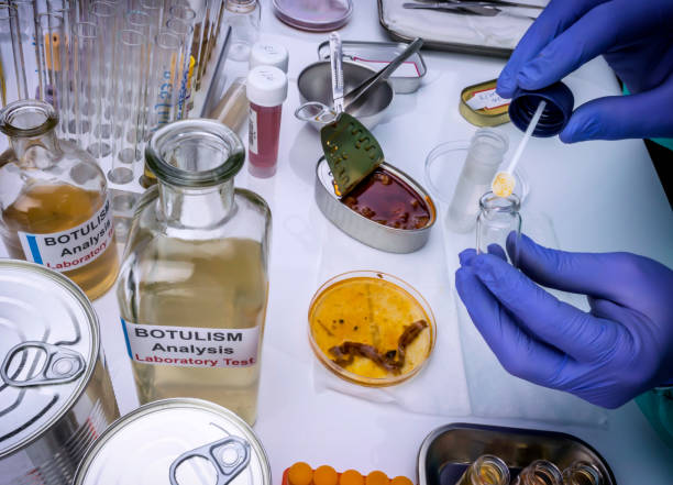 científicos de laboratorio experimentados que analizan una muestra de una lata de alimentos enlatados, infección por botulismo en personas enfermas, imagen conceptual - clostridium fotografías e imágenes de stock