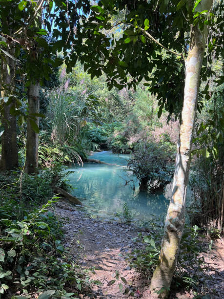 istock Kuang Si Waterfalls, Laos 1476564878