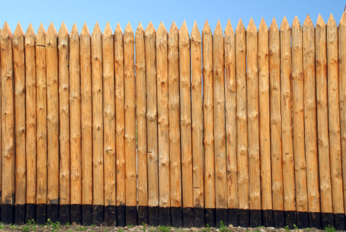 Wooden paling from the sharp raw logs