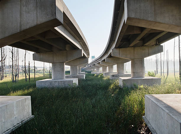 Highway over mash land at sunrise stock photo