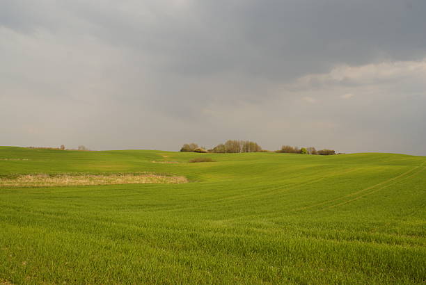 Landscape stock photo