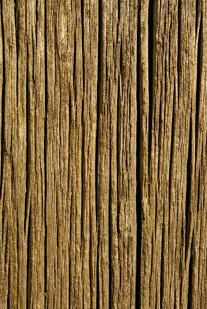 Wooden Texture stock photo