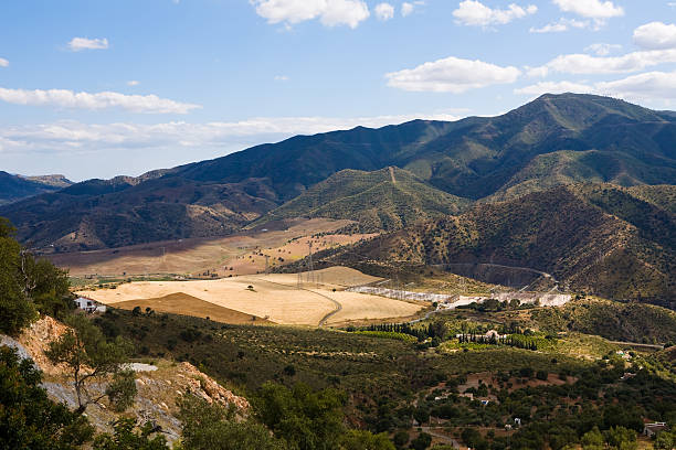 Magnificent panorama of surrounding olive groves in Andalusia stock photo