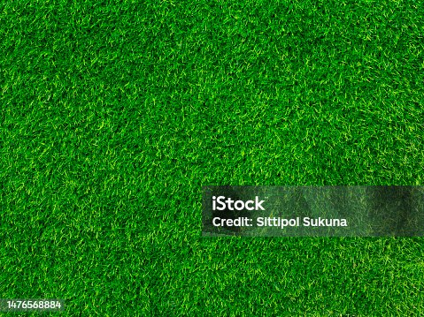 istock Green grass texture background grass garden concept used for making green background football pitch, Grass Golf, green lawn pattern textured background. 1476568884