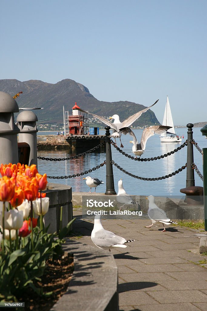 Stadtleben in Ålesund, Norwegen - Lizenzfrei Alesund Stock-Foto