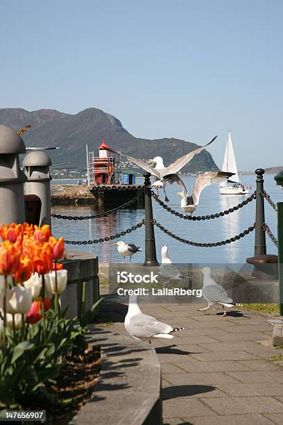 Stadtleben In Ålesund Norwegen Stockfoto und mehr Bilder von Alesund - Alesund, Anlegestelle, Aussicht genießen