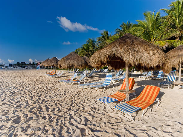 istock Palapas at a Caribbean beach in Mexico 147657124