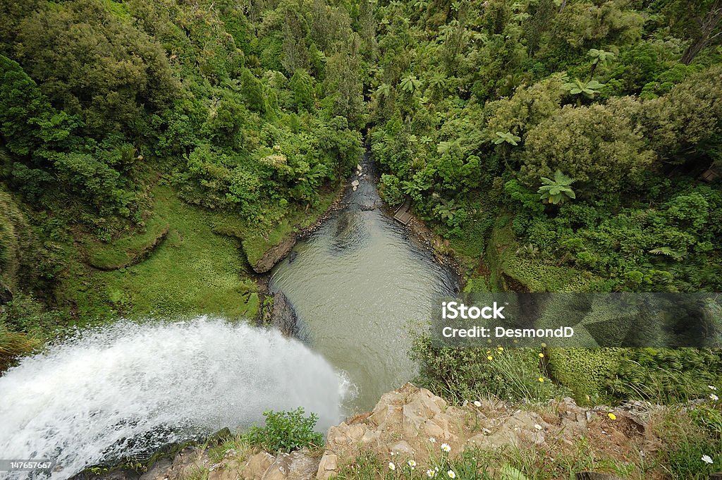 Bridal veil falls Bridal veil falls in New Zealand , close to Raglan . Bush Stock Photo