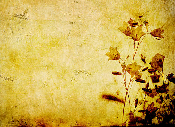 istock grunge floral background with space for text or image 147657780
