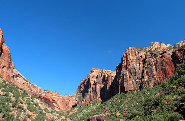 istock Zion National Park, USA 147657818