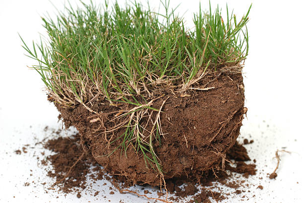 istock Piece of Land 147658401