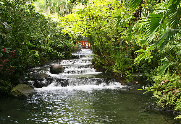 hot spring creek - costa rica waterfall heaven rainforest stock-fotos und bilder