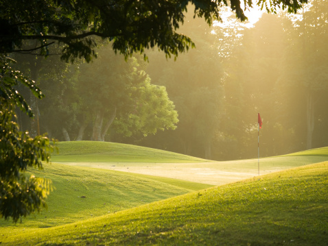 Putting green illuminated by sunlight in the early morning through the tall trees that surround it