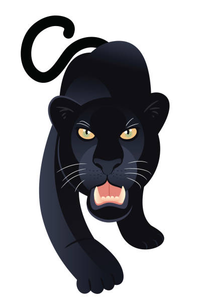 черная panther - leopard prowling black leopard undomesticated cat stock illustrations