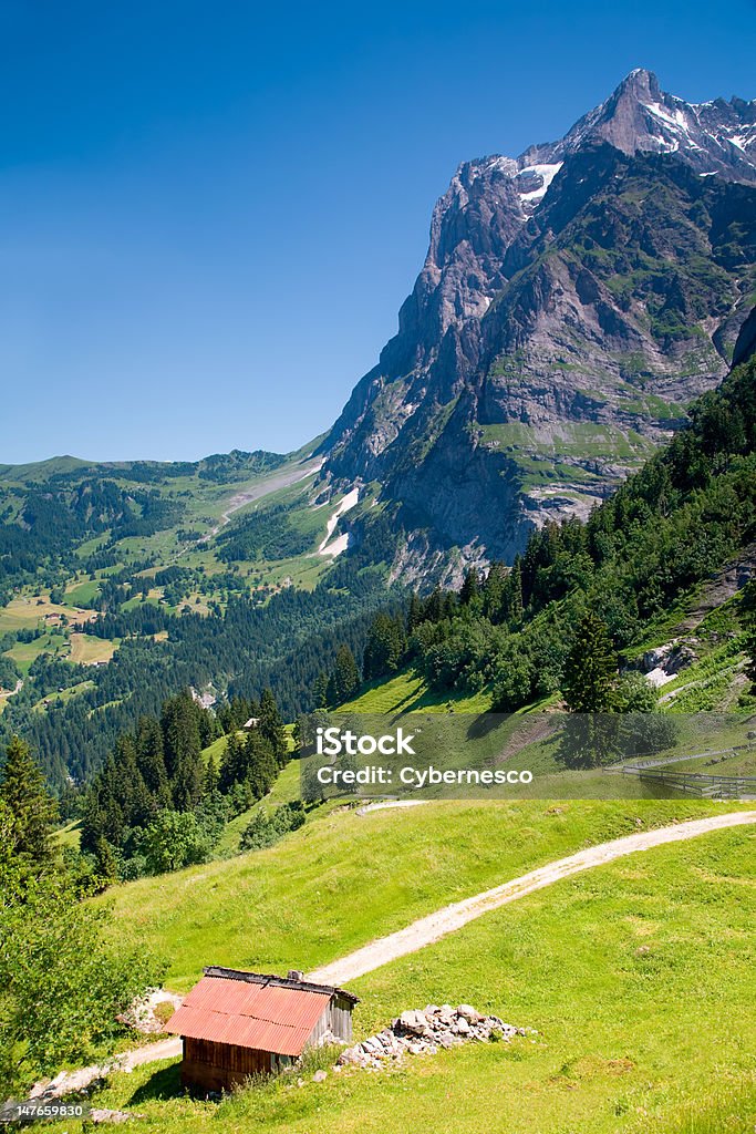 Grindelwald in Kanton Bern, Schweiz - Lizenzfrei Alpen Stock-Foto