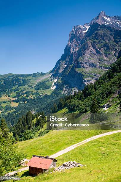 Grindelwald En Cantón De Berna Suiza Foto de stock y más banco de imágenes de Aire libre - Aire libre, Alpes Bernese, Alpes Europeos