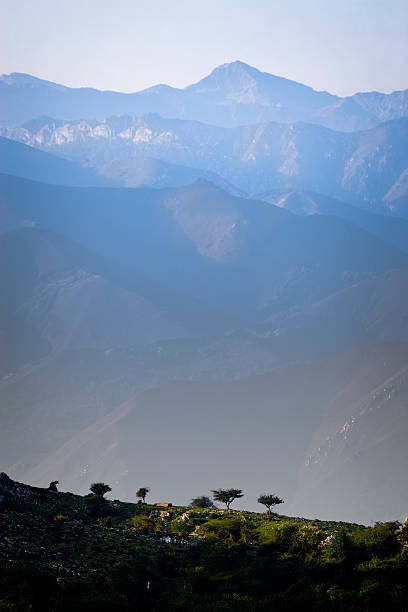 Perspectiva haze nas montanhas - foto de acervo