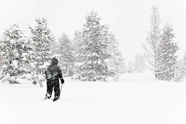 Lone walker in a blizzard stock photo