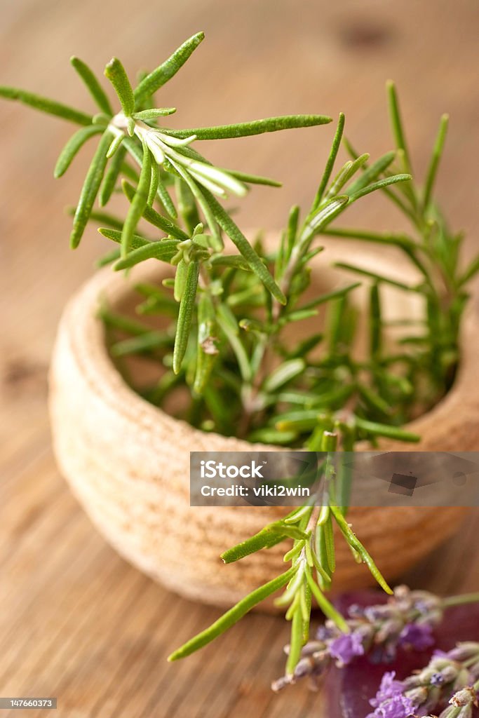 Rosemary Rosemary branches Beauty Spa Stock Photo